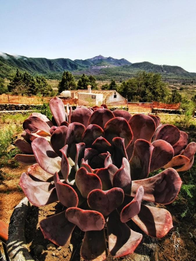 Evas Haus Lägenhet Santa Cruz de la Palma  Exteriör bild